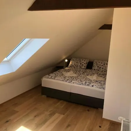 Apartment Ilirska Modern